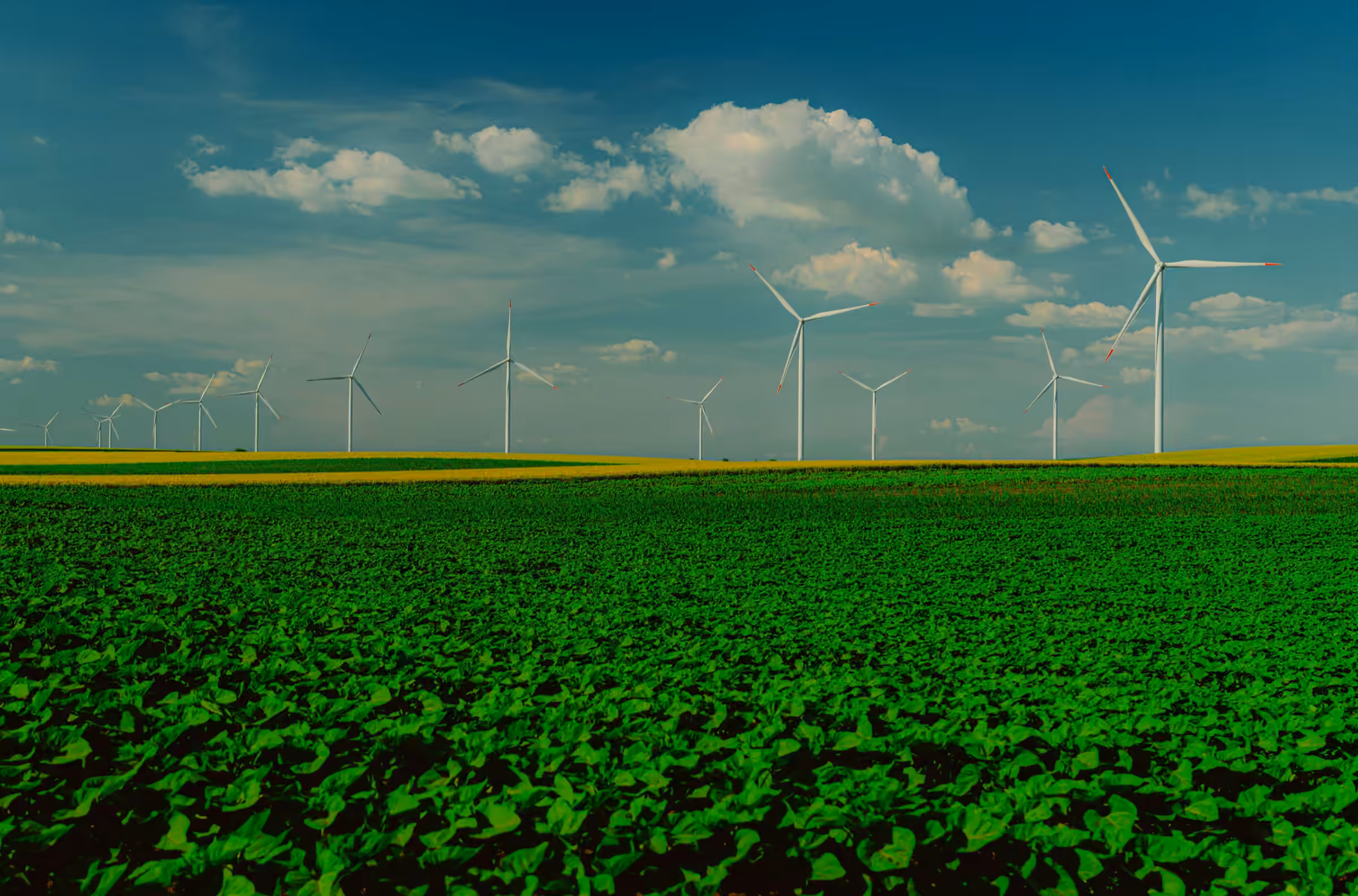 Wind turbines over green fields